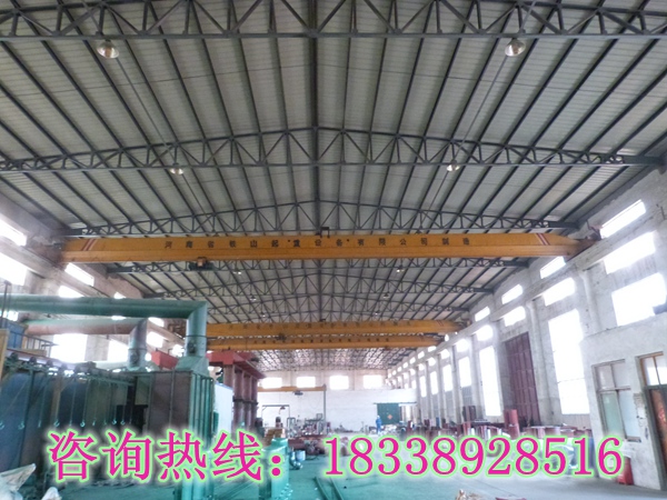 广东广州行车行吊销售厂家因为专业所以成功
